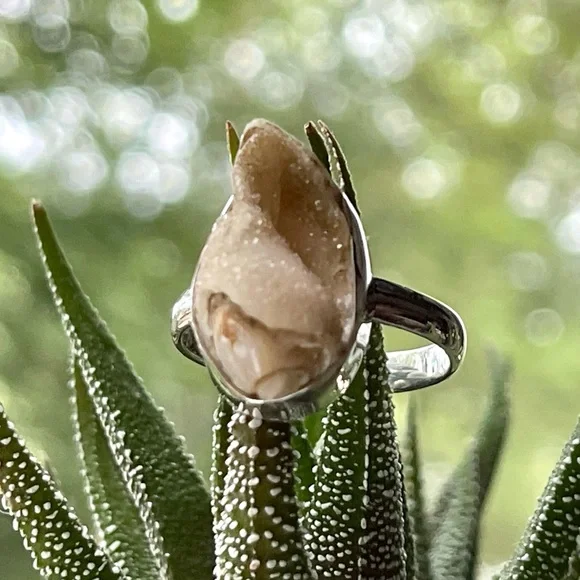Incredible Natural Spiralite Fossil Druzy GemShell Ring | sz 10.25 - Picture 3 of 13